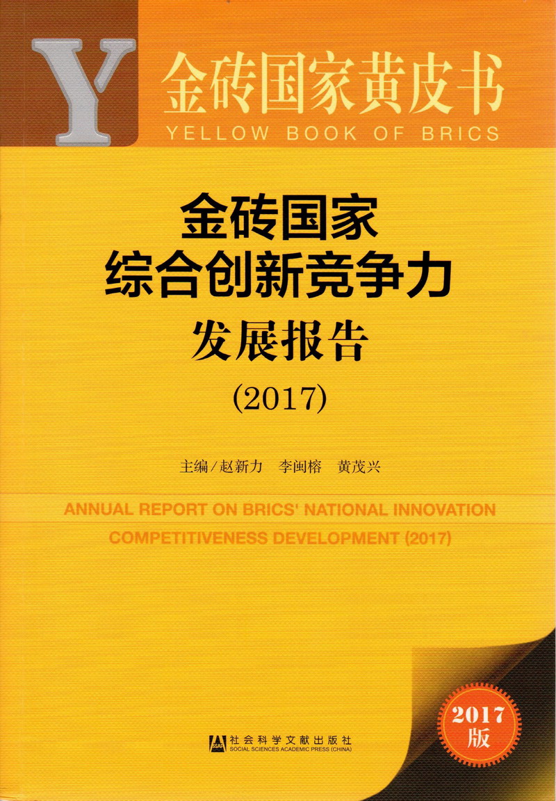 黄视频操逼金砖国家综合创新竞争力发展报告（2017）